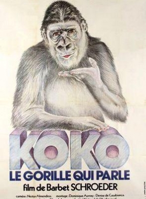 koko